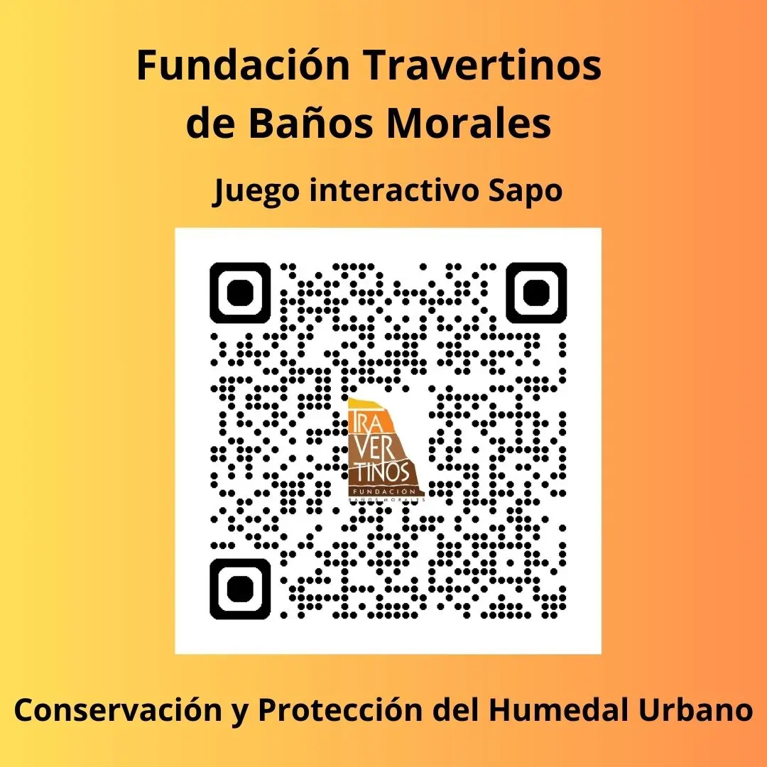 Fundación Travertinos QR juego sapo